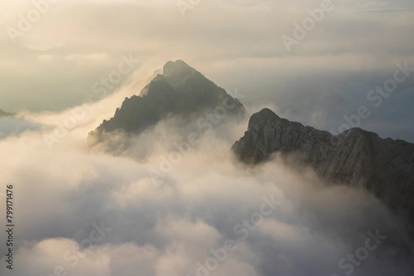 Fototapeta A peack of Adamello park in the morning with fog during summer season, Lombardy, Italy.	