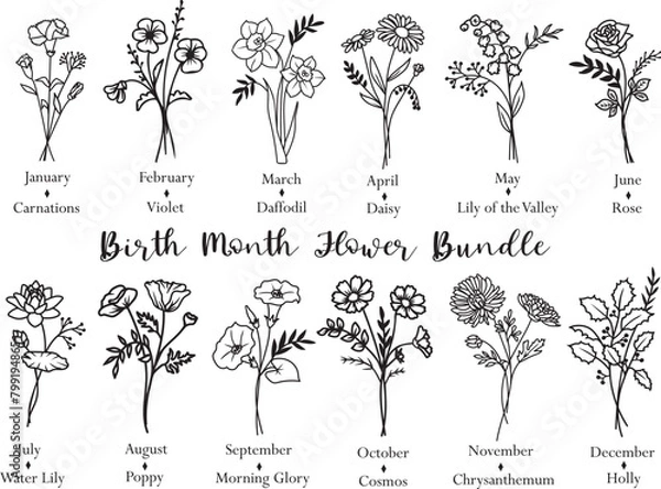 Obraz Vector Birth Month Flower