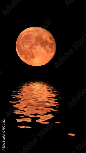 Obraz Arty Moon Reflection