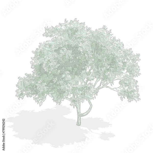 Fototapeta Axonometric tree, cad tree