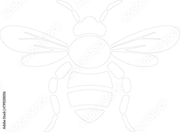 Fototapeta bumblebee outline