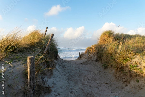 Fototapeta Chemin à travers les dunes, bordé de poteaux et d'oyats, offrant une vue sur l'océan et la plage de la Torche, capturant la beauté brute du littoral breton.
