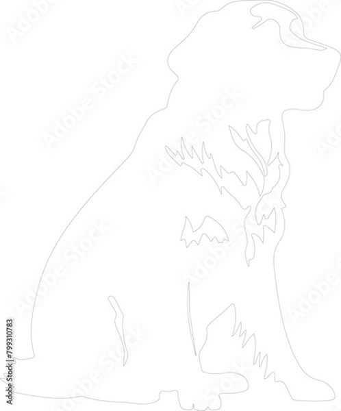 Fototapeta golden retriever outline
