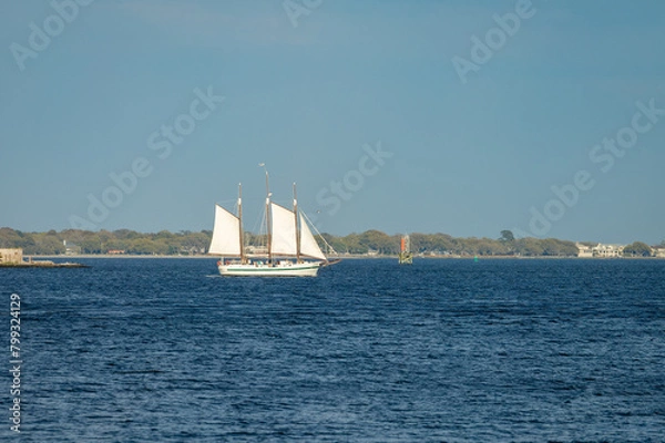 Obraz yacht in the sea