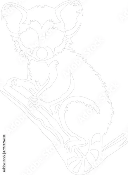 Fototapeta loris outline