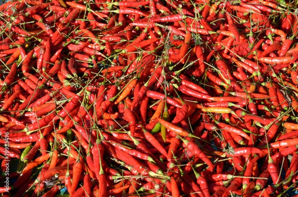 Fototapeta red pepper stack dried