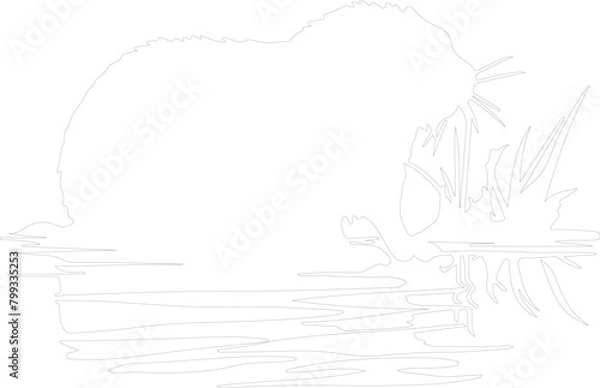 Fototapeta nutria outline