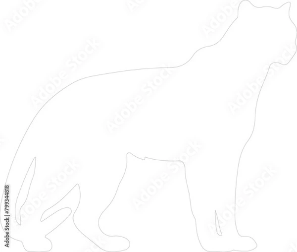 Obraz puma outline