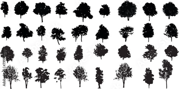 Fototapeta silhouette tree line drawing set, Side view, set of graphics trees elements outline symbol for architecture and landscape design drawing	