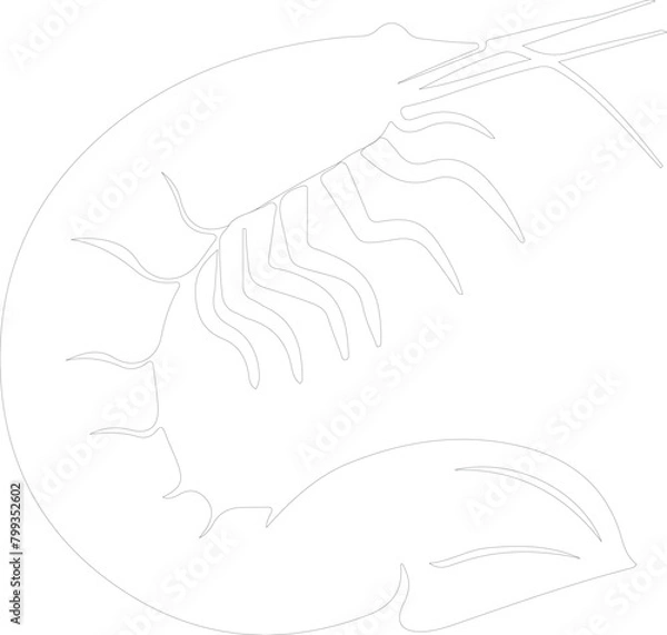 Fototapeta shrimp outline