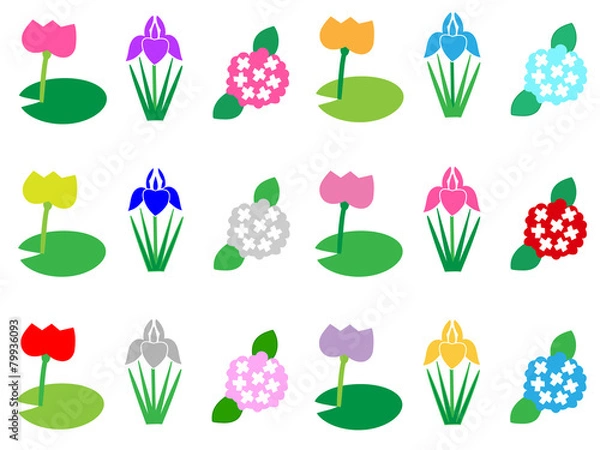 Fototapeta 夏の花の背景