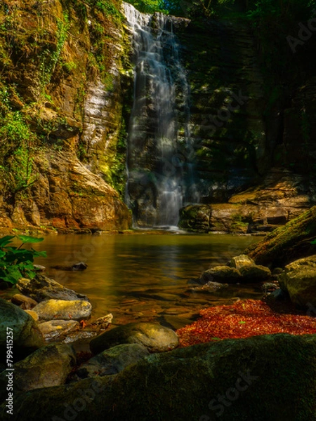 Fototapeta image of lush green nature in spring