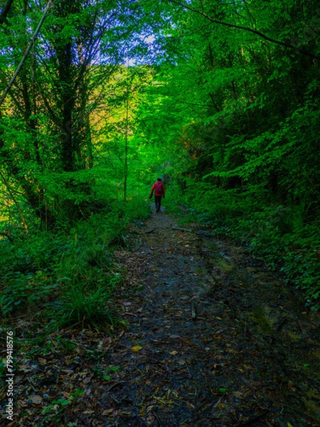 Fototapeta OLYMPUS DIGITAL CAMERA