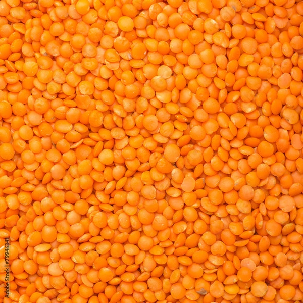 Obraz Raw lentil