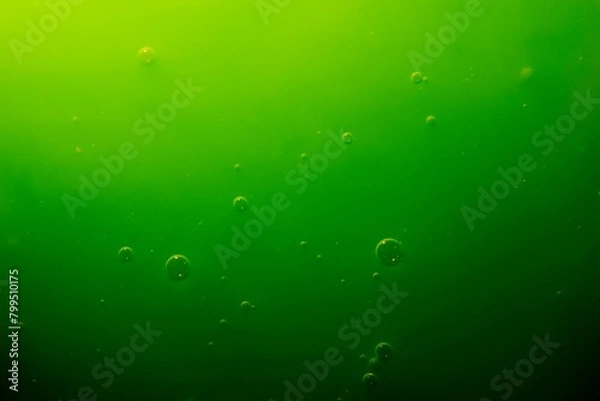 Obraz Green slime texture