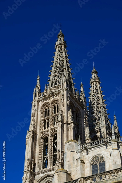 Obraz image of the cathedral of burgos