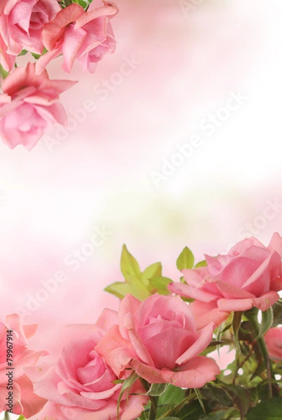Obraz card with pink roses