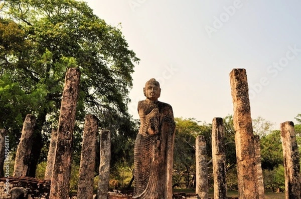 Fototapeta Buddha and Pillars in Polonnaruwa, Sri Lanka