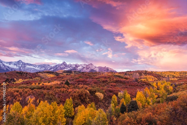 Obraz Autumn colors at sunrise at the Dallas Divide in Colorado's San Juan Mountains