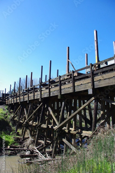 Obraz Rail Bridge