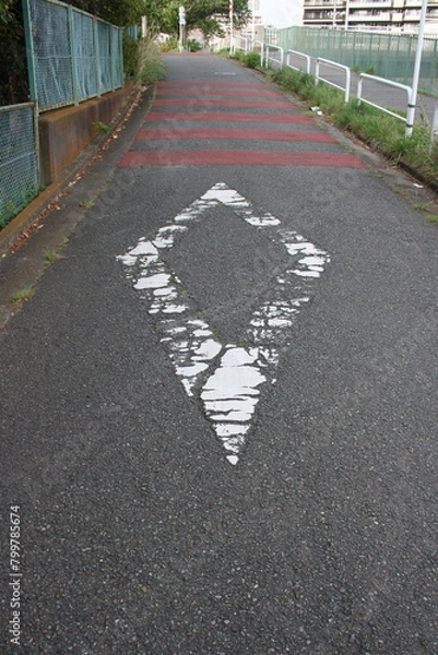 Fototapeta 道路上の菱形マーク（前方に横断歩道または自転車横断帯あり）