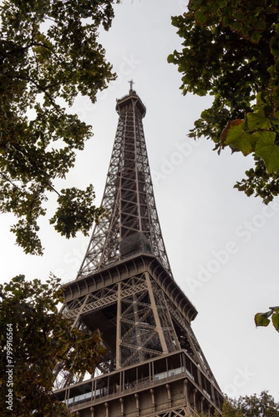 Fototapeta eiffel tower city in summer