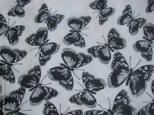 Obraz Butterfly fabric 
