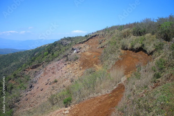 Fototapeta 箱根町　登山