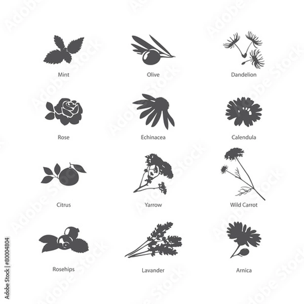 Obraz Herb symbols set