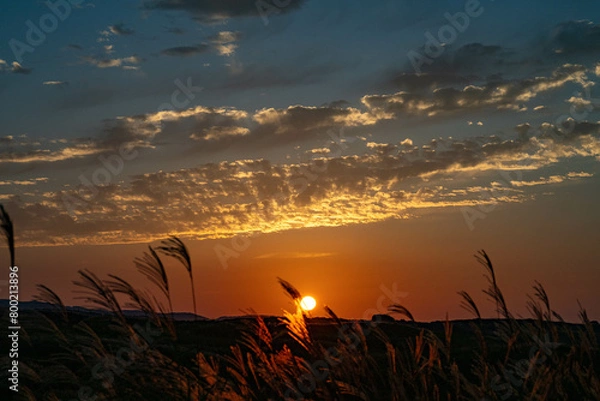 Fototapeta 夕焼け