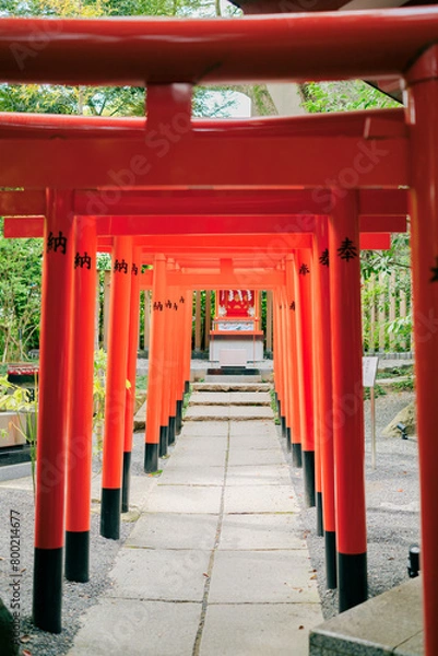 Fototapeta 熱海の神社の鳥居