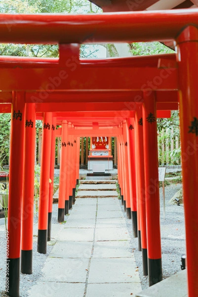 Fototapeta 熱海の神社の鳥居