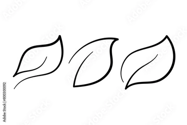 Fototapeta Calligraphy Leaves Black Set