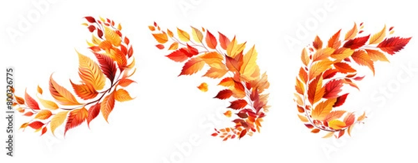 Fototapeta Autumn Falling Leaves element on white background