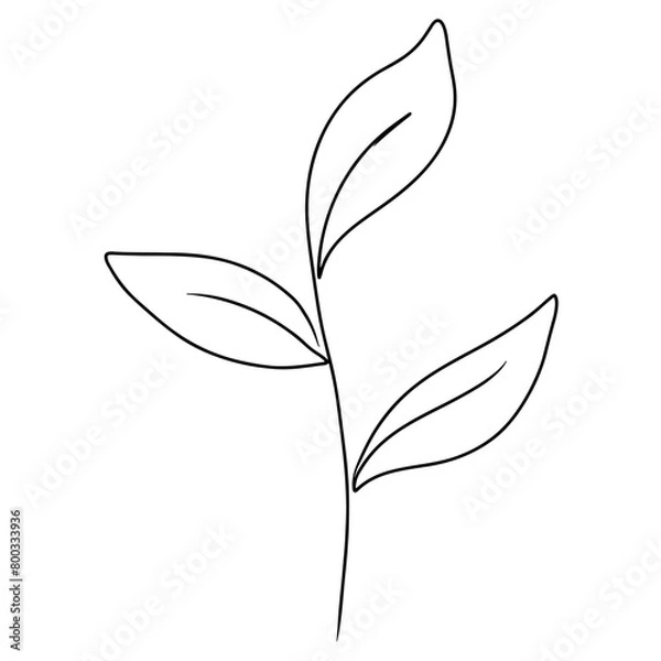 Fototapeta Continuous one line drawing of leaf branch. Doodle vector illustration