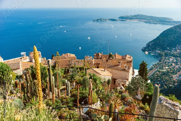Fototapeta An exotic cactus garden on top of the medieval village of Eze in the south of France, French Riviera.