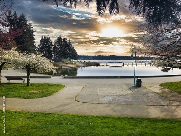 Fototapeta Nanaimo Maffeo sutton Park bridge in the morning, spring day, trees in bloom