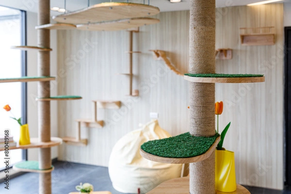 Obraz Cat play area.  Sitting area with benches