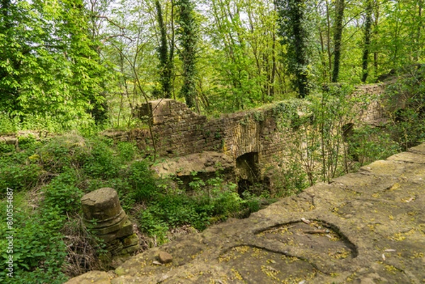 Obraz  Klosterruine Disibodenberg