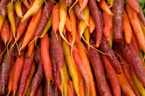 Obraz rainbow carrots