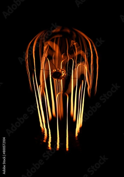 Obraz antique light bulb filament