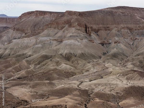Obraz Ein Avdat National Park