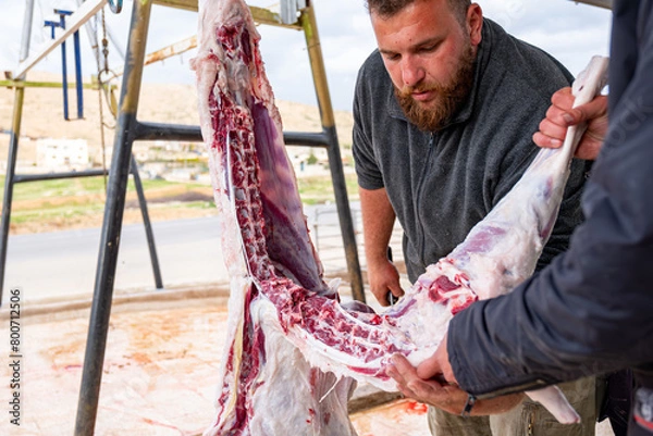 Fototapeta A bearded man is skillfully butchering a sheep that is hanging on a hook, carefully preparing it for consumption