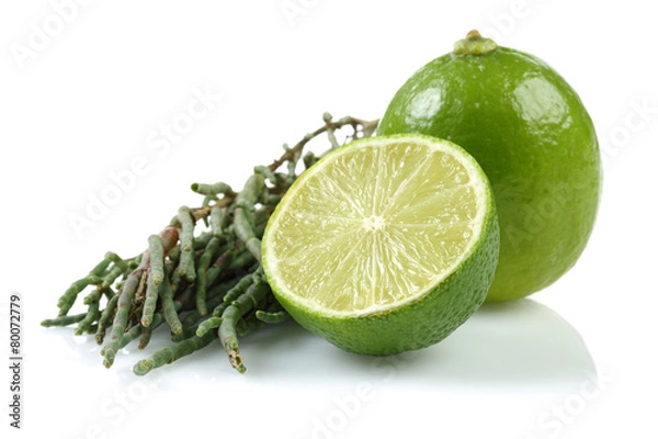 Fototapeta Fresh Samphire and Lime Group