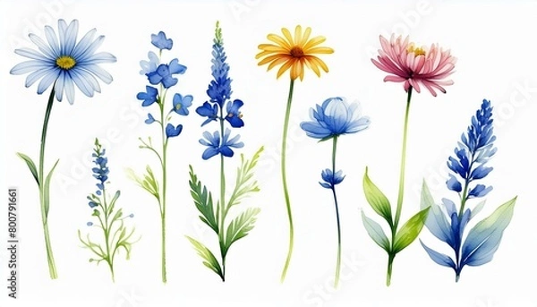 Obraz ブルー系の花