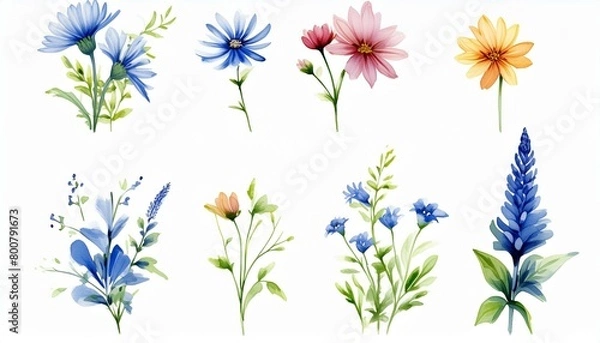 Fototapeta ブルー系の花