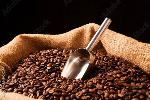 Obraz roasted coffee beans with scoop in bag