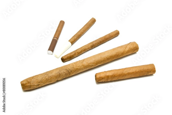 Fototapeta different cigars and cigarillos