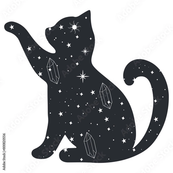 Fototapeta Mystical Cat Illustration