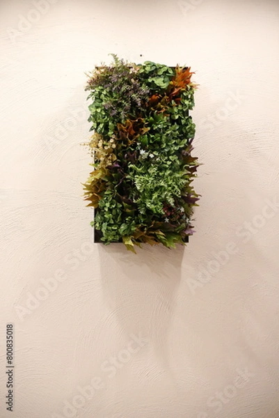 Fototapeta Natural photos